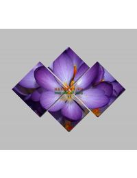 Tranh bộ nghệ thuật hoa Viola DH594A 
