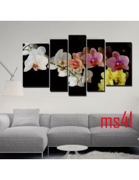 Tranh ghép bộ 5 bức hoa lan MS41